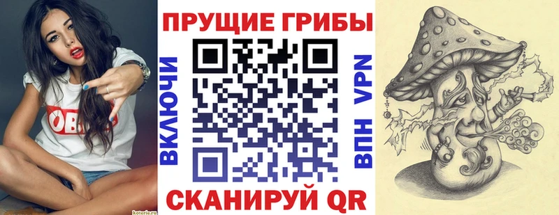 Псилоцибиновые грибы Psilocybe Баксан